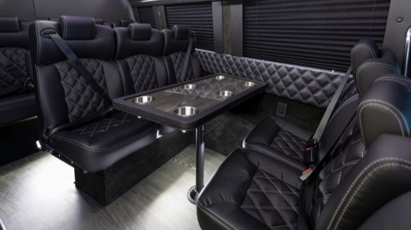 carrollton 10 passenger sprinter van interior