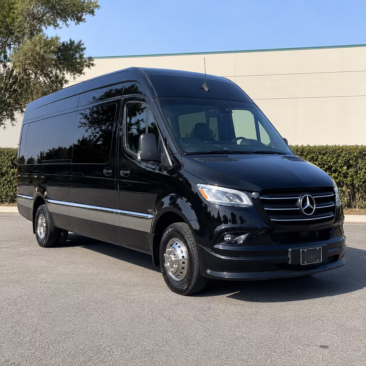 carrollton 12 passenger sprinter van