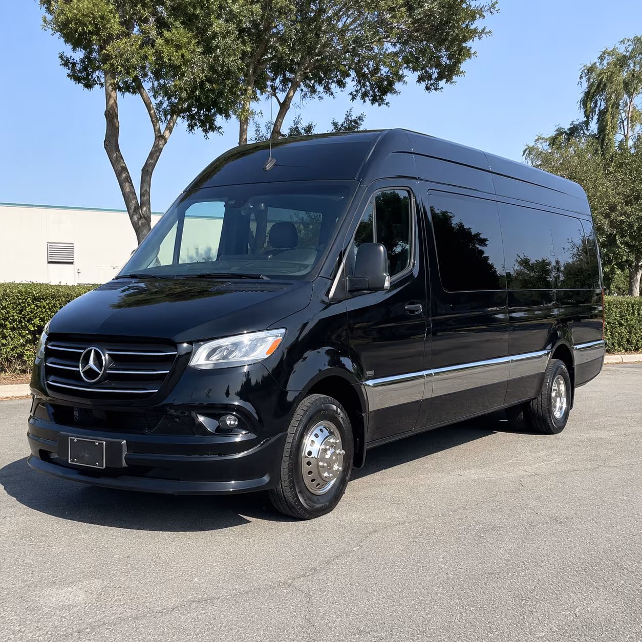 carrollton 8 passenger sprinter van